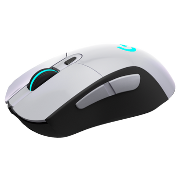 Logitech G703 Wireless Gaming Mouse Steel Glossy
