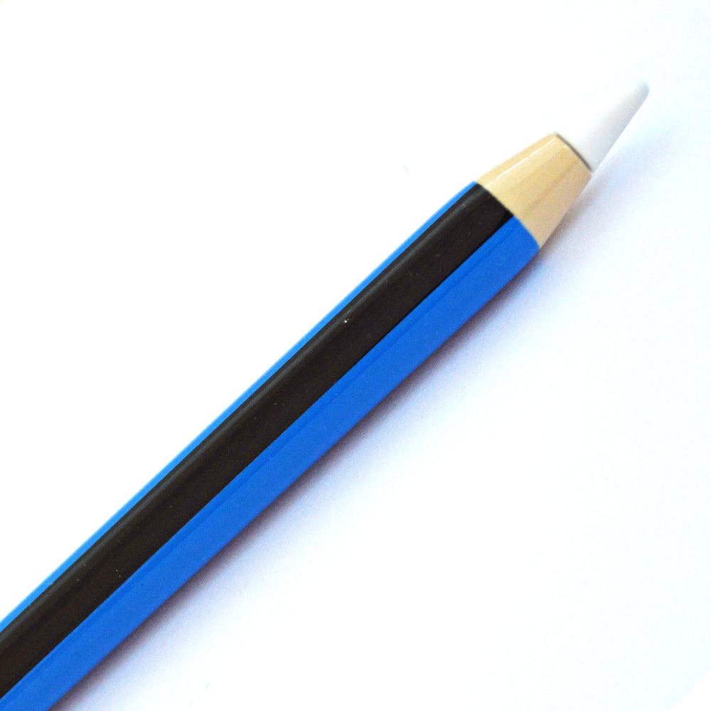 Apple Pencil Pro - Blue Black